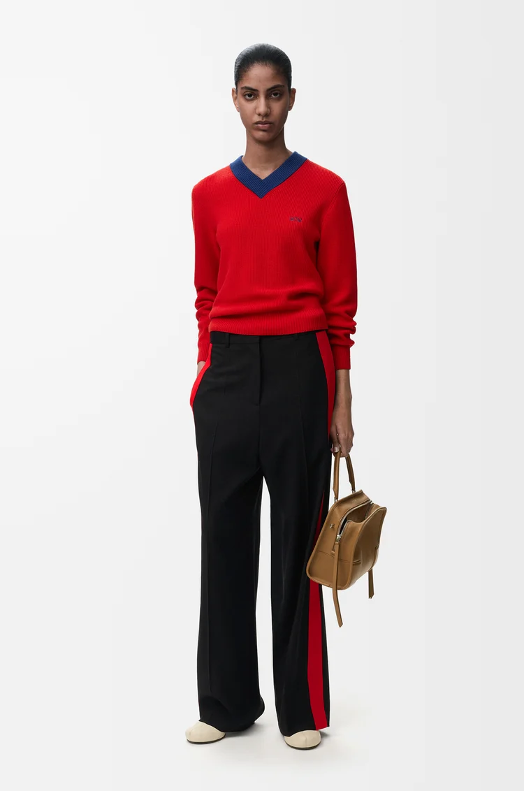 LOEWE セーター（コットン&ウール） レッド/ブルー
