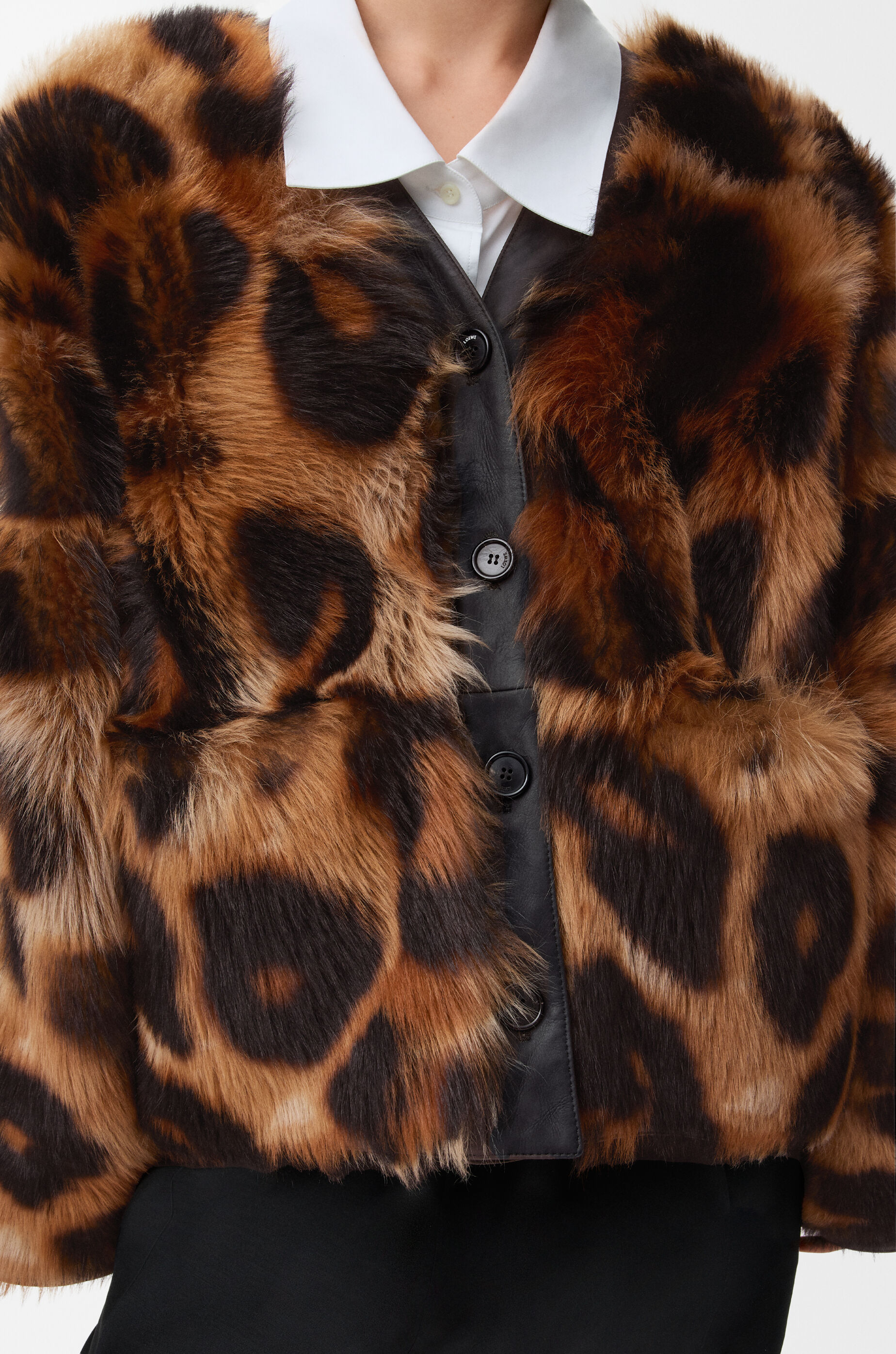 LOEWE ブラウン カーディガン カーディガン（レーヨン） ブラウン - LOEWE