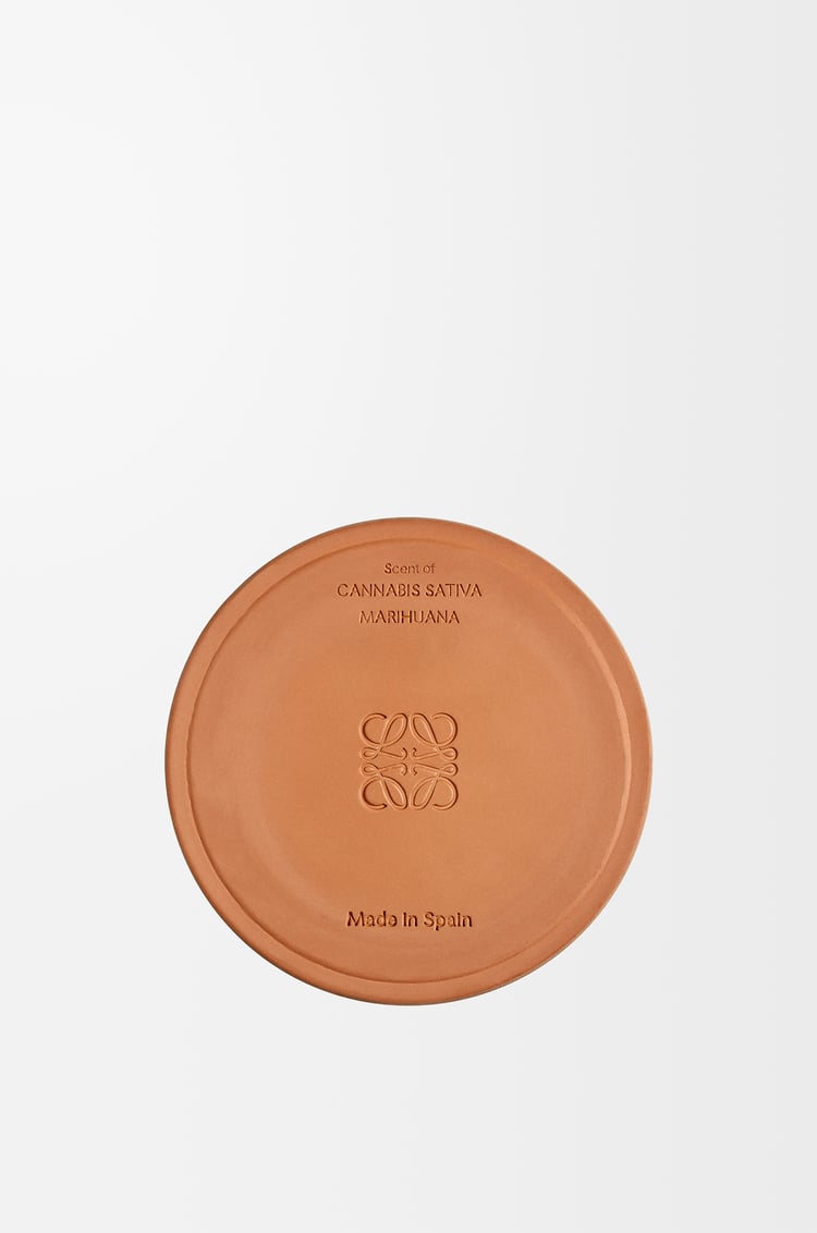 LOEWE Medium Scent of Marihuana candle Dark Green