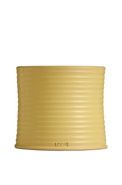 LOEWE Large Honeysuckle candle 黃色 plp_rd
