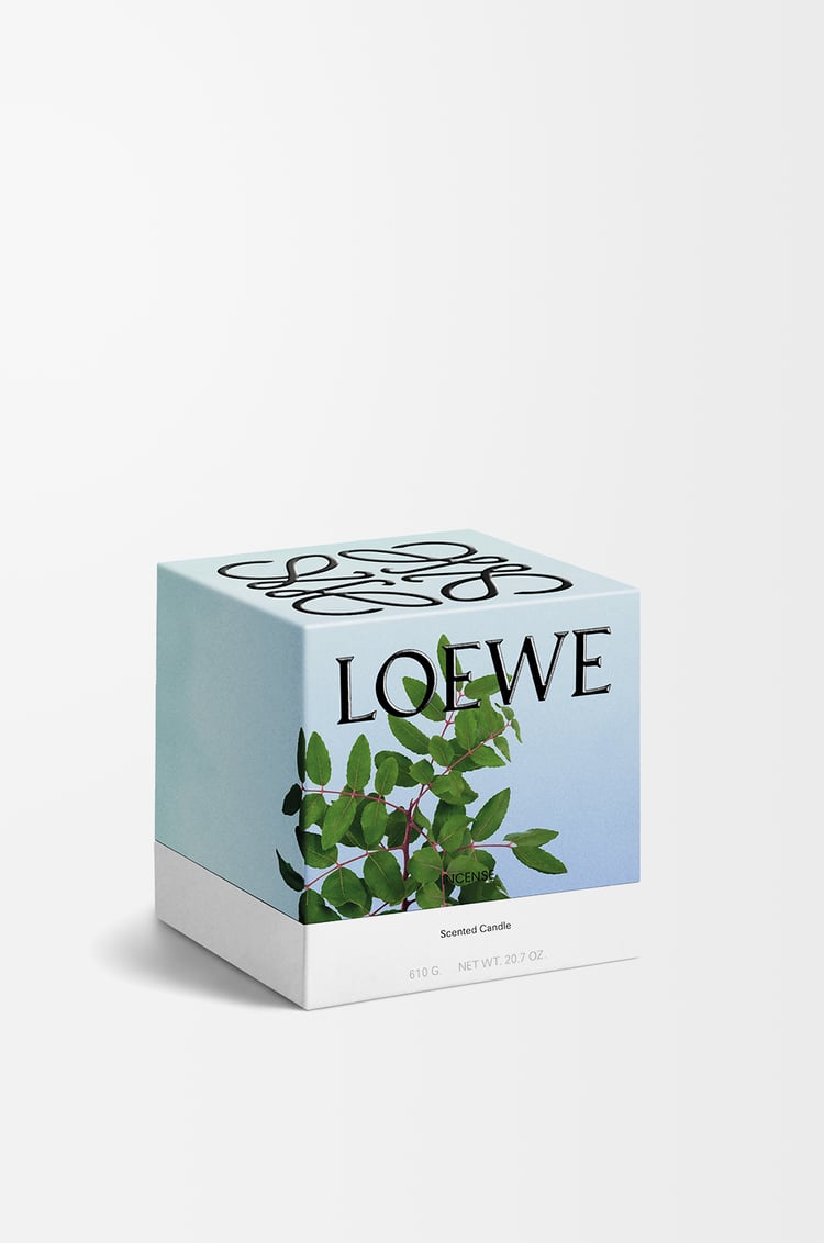 LOEWE Vela mediana Incense Azul Oscuro