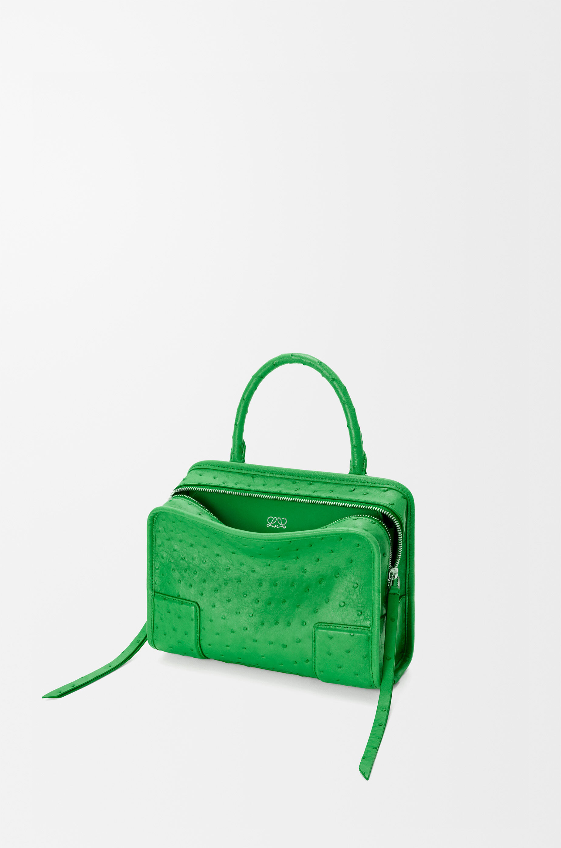 Small Amazona 180 bag in ostrich Green - LOEWE USA Official Website