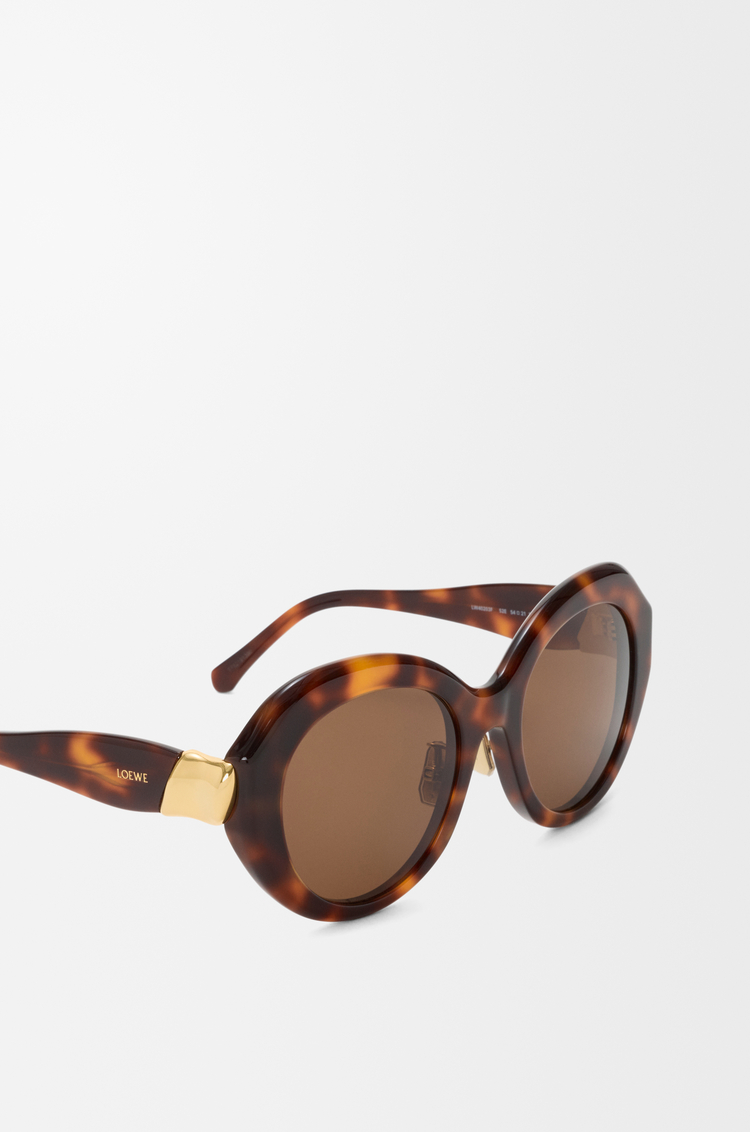 LOEWE Gafas de sol Coil Butterfly Marrón Habano