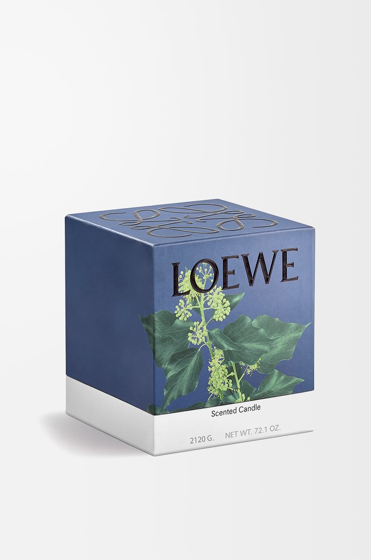 LOEWE Large Ivy candle Light Pink