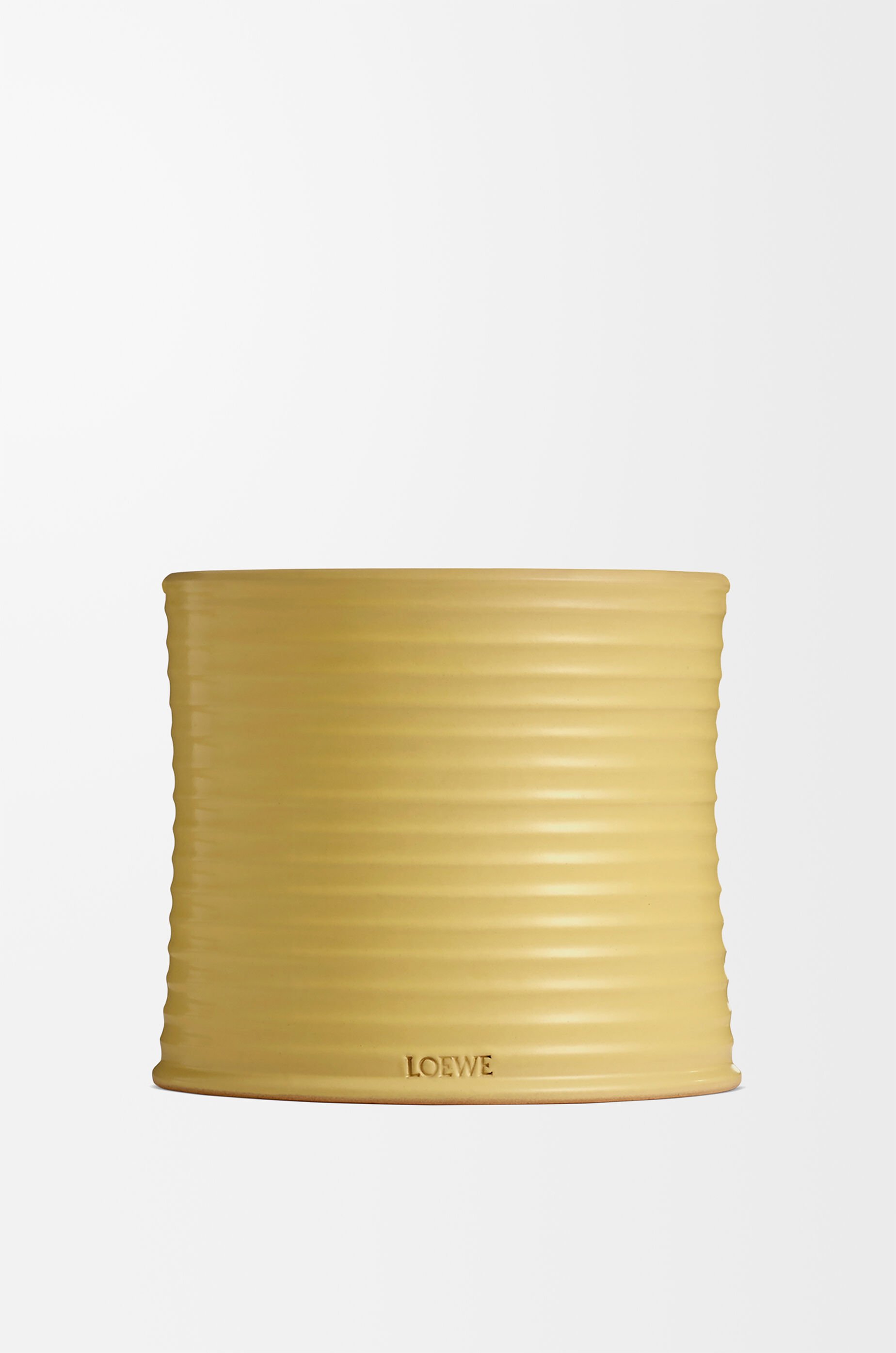ハニーサックル キャンドル ミディアム イエロー - LOEWE