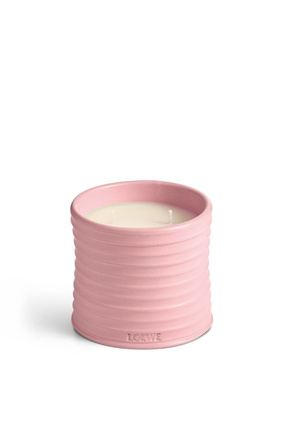 LOEWE Medium Ivy candle Light Pink