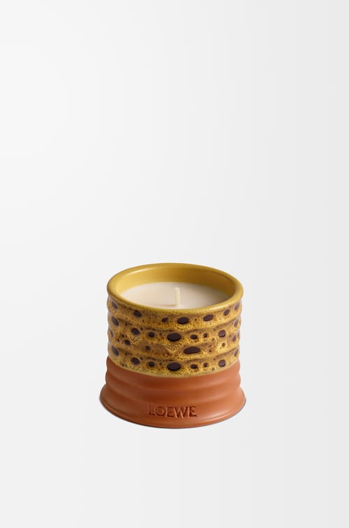 LOEWE Mimosa scented candle Yellow/Tan