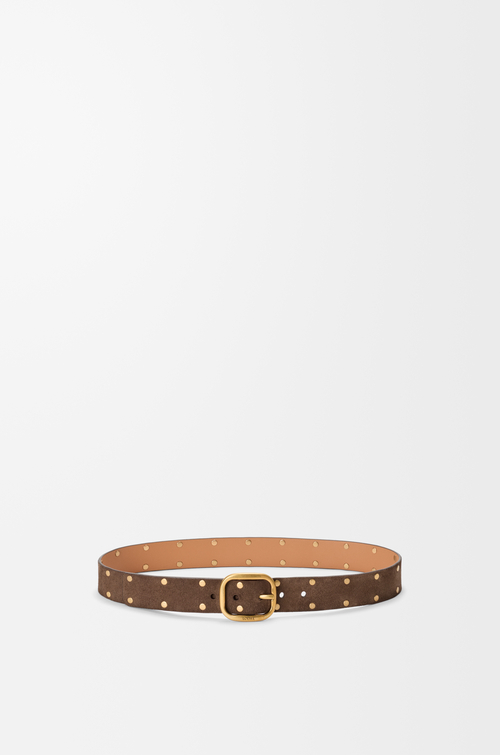 LOEWE Cinturón curvilíneo en ante de piel de ternera Madera/Oro Vintage