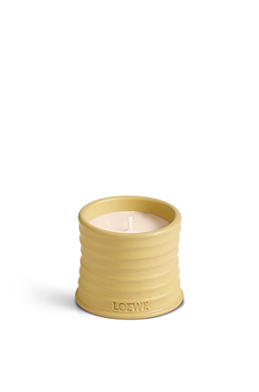 LOEWE Honeysuckle candle Yellow