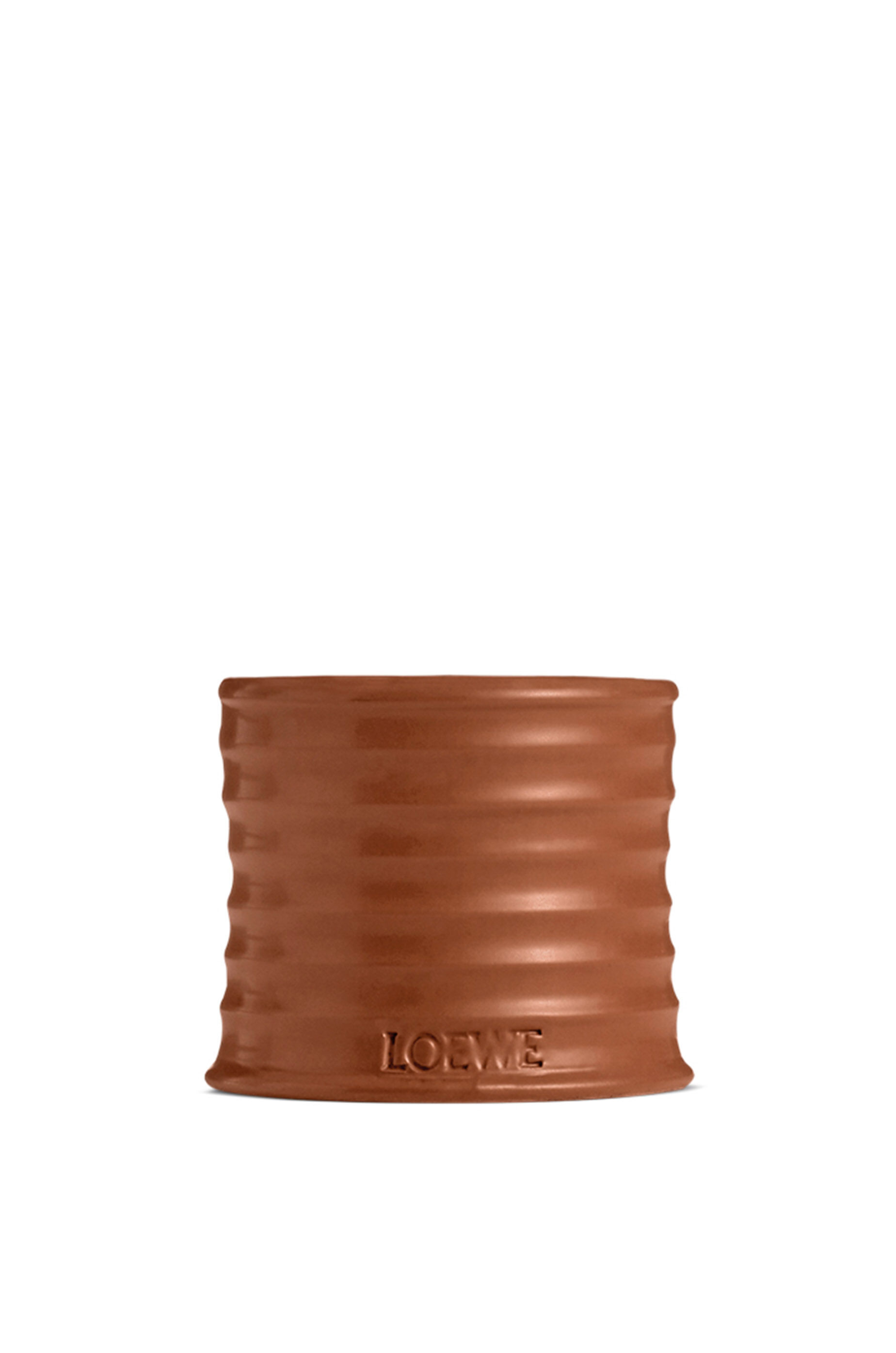 Juniper Berry - LOEWE