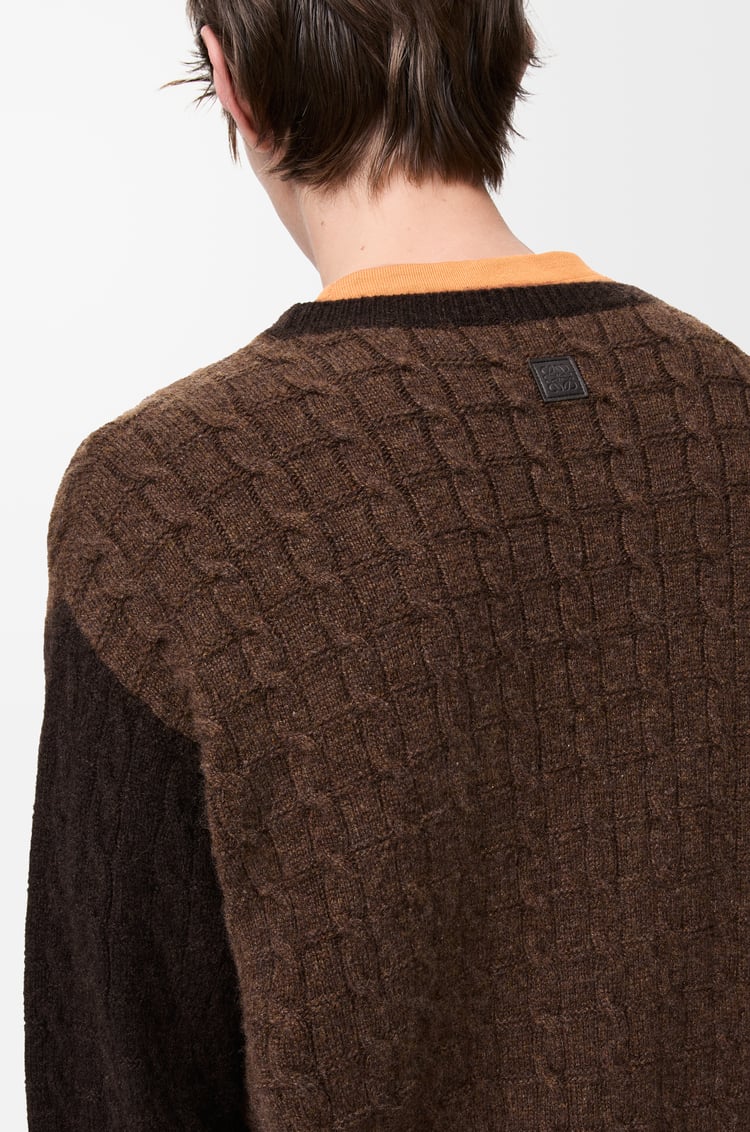 LOEWE Sweater in cashmere Brown/Dark Brown