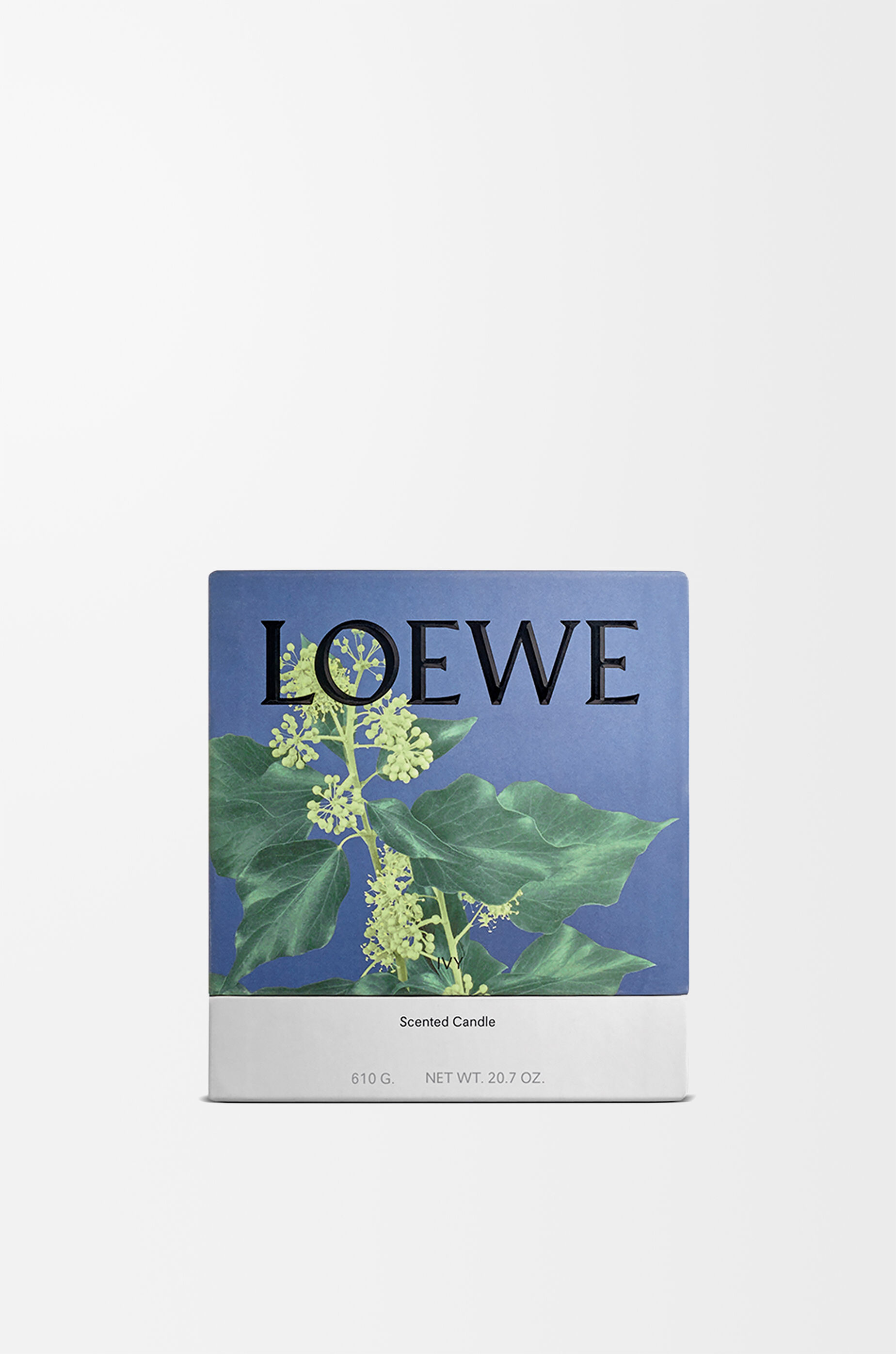 アイビー キャンドル ミディアム ライトピンク - LOEWE