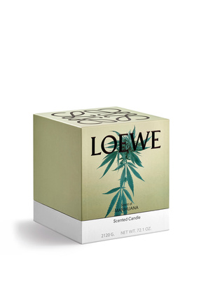 LOEWE Large scent of Marihuana candle Dark Green plp_rd