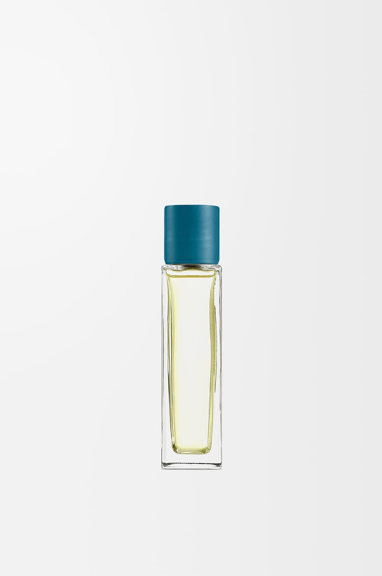 LOEWE Incense room spray Dark Blue
