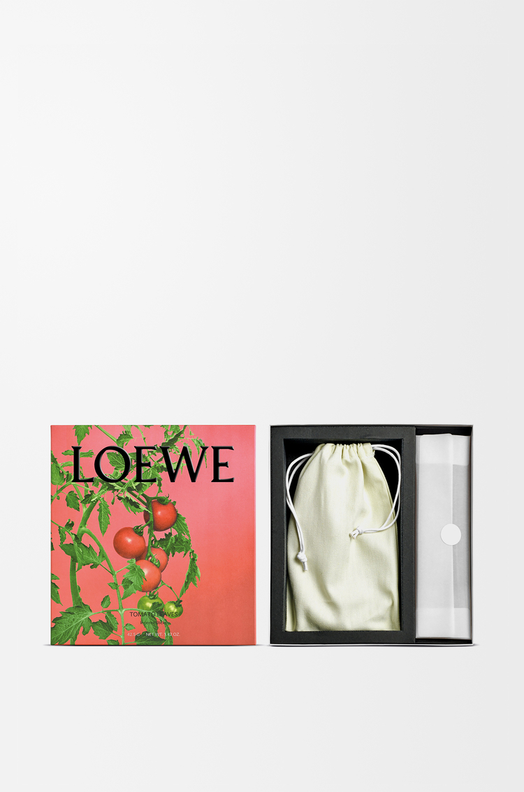 LOEWE Tomato Leaves incense set Red
