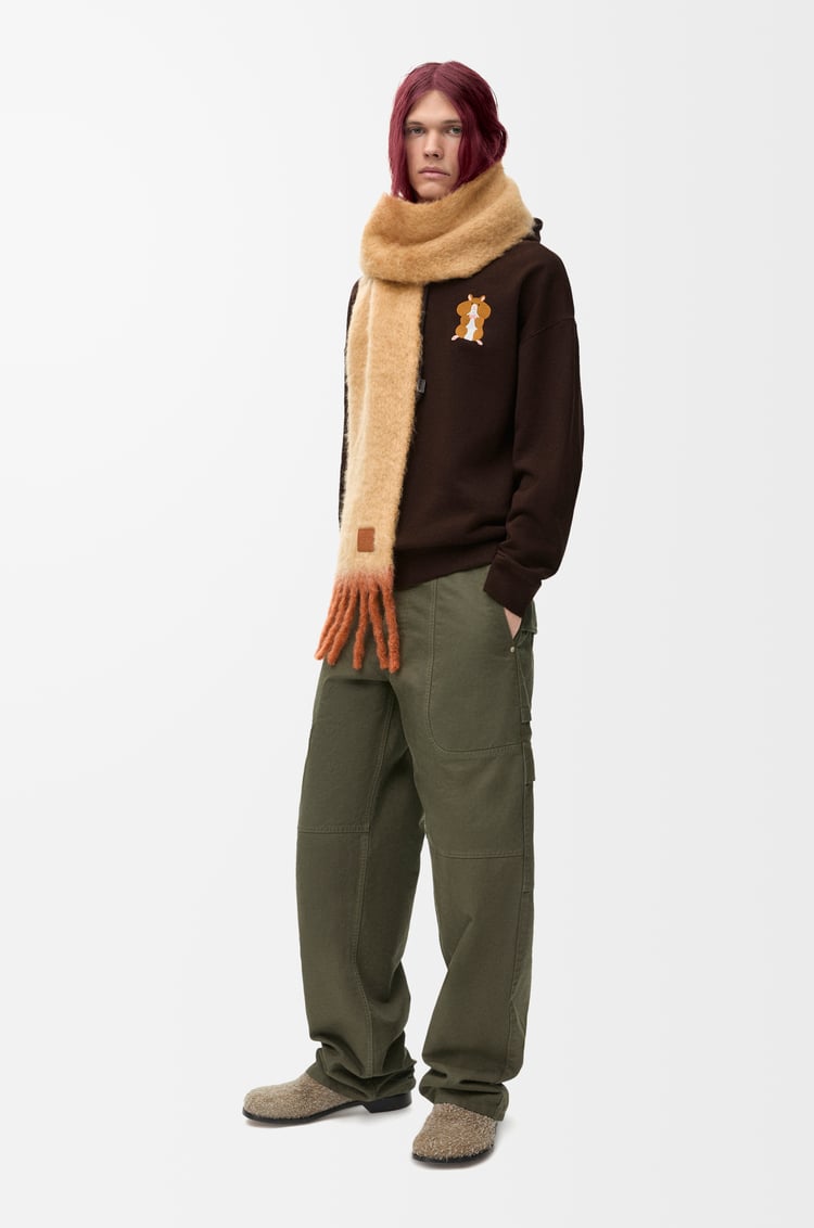 LOEWE Sudadera con capucha de corte holgado en algodón Marrón Oscuro