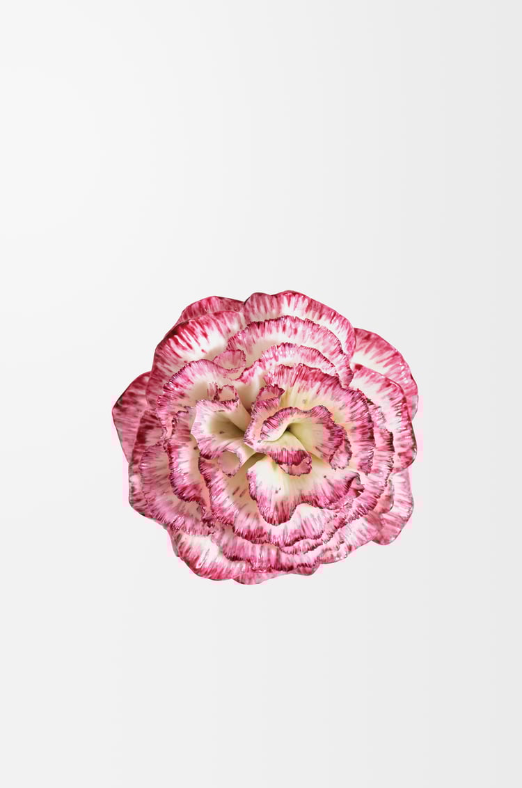 LOEWE LOEWE Earth x LLADRÓ Colourless