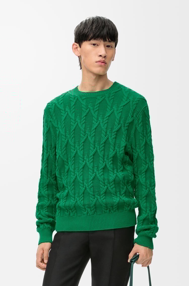 LOEWE Jersey en algodón Verde Oscuro