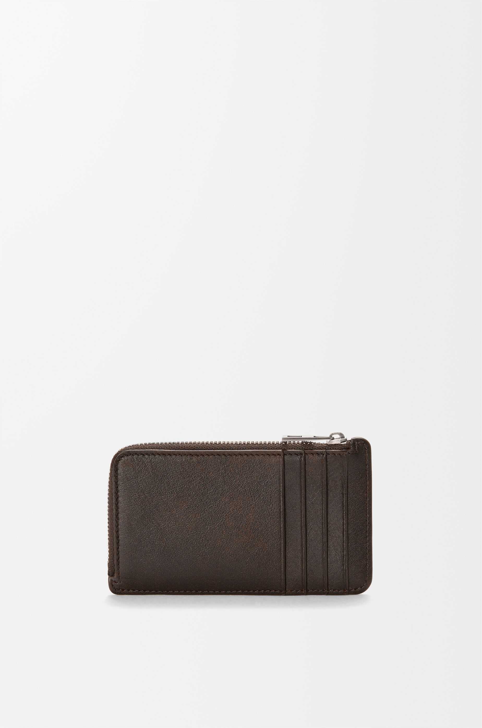 パンタ コインカードホルダー（シャイニーカーフ） ブラウン - LOEWE