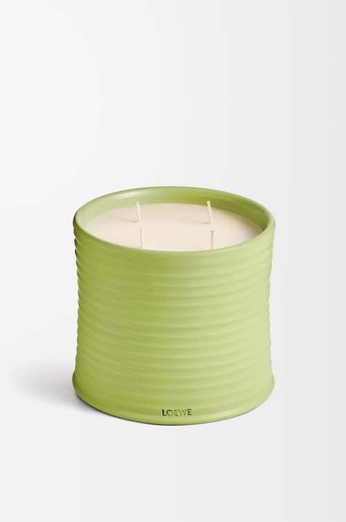 LOEWE Large cucumber candle Light Green
