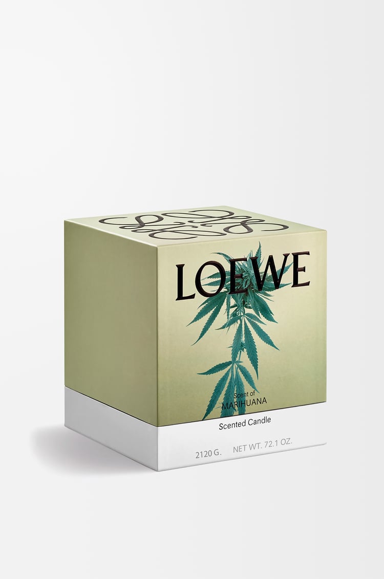 LOEWE Vela grande Scent of Marihuana Verde Oscuro