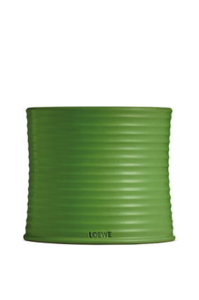 LOEWE Large Luscious Pea candle Light Green plp_rd