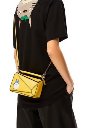 Loewe X My Neighbor Totoro Collection