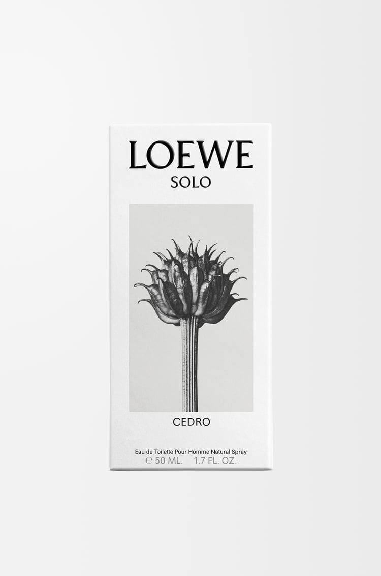 LOEWE ロエベ ソロ セドロ オードゥ トワレ 50ml 無色