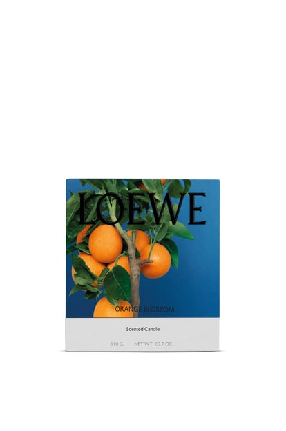 LOEWE Vela mediana Orange Blossom Mandarina Brillante plp_rd