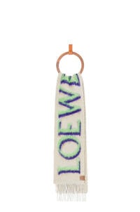 LOEWE LOEWE scarf in wool and mohair White/Green