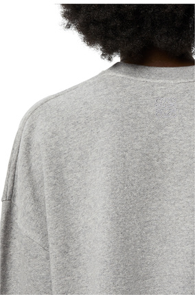 LOEWE Rainbow cropped sweatshirt in cotton Grey Melange plp_rd