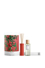 LOEWE Tomato leaves room diffuser Red pdp_rd