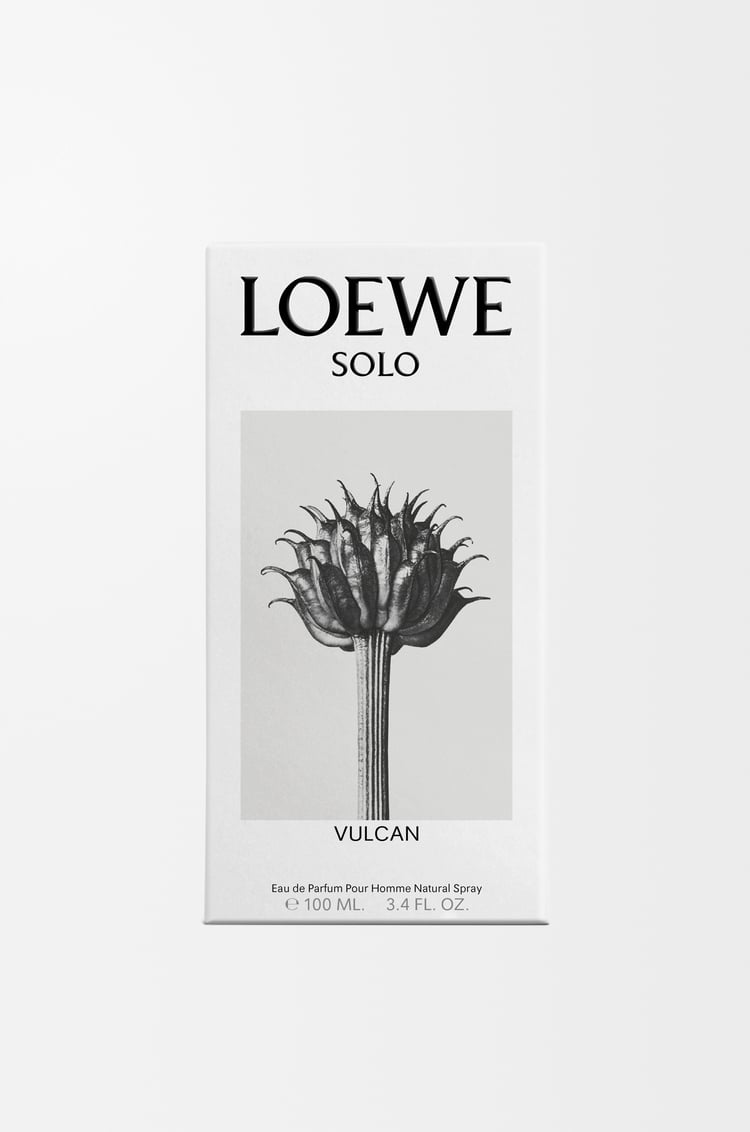 LOEWE ロエベ ソロ バルカン オードゥ パルファム 100ml 無色