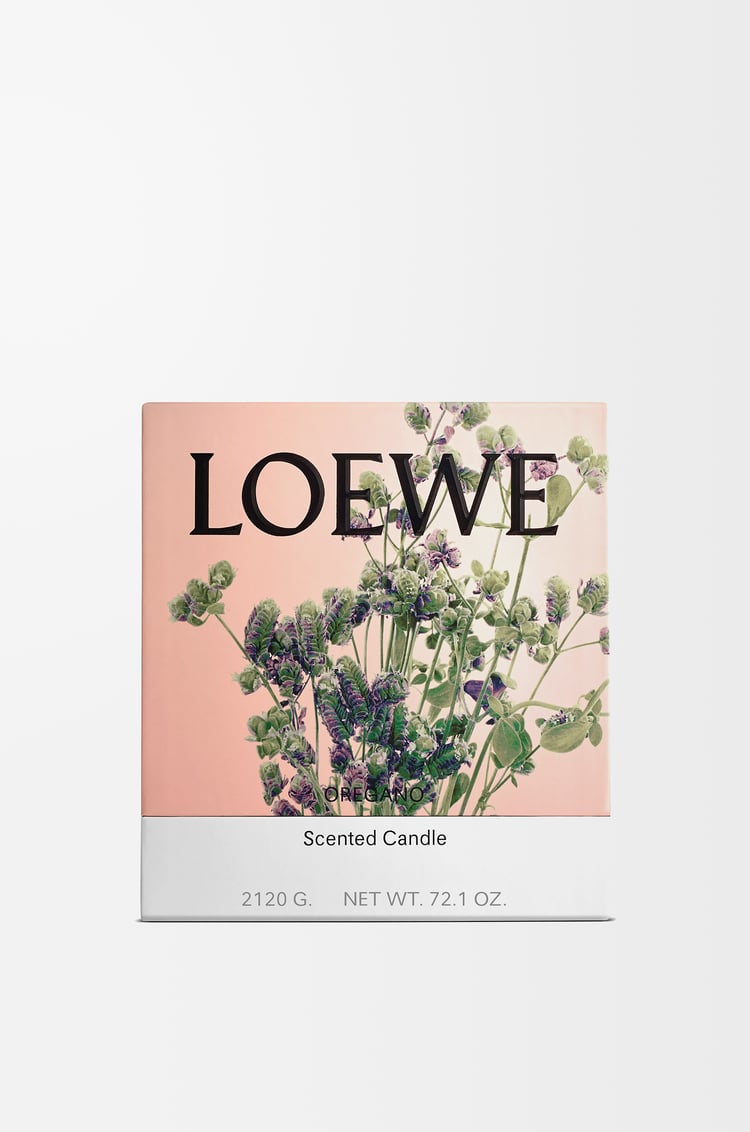 LOEWE オレガノ キャンドル ラージ ホワイト