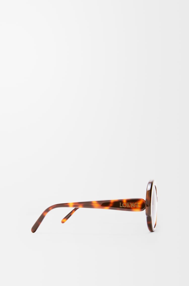 LOEWE Round Slim sunglasses Havana