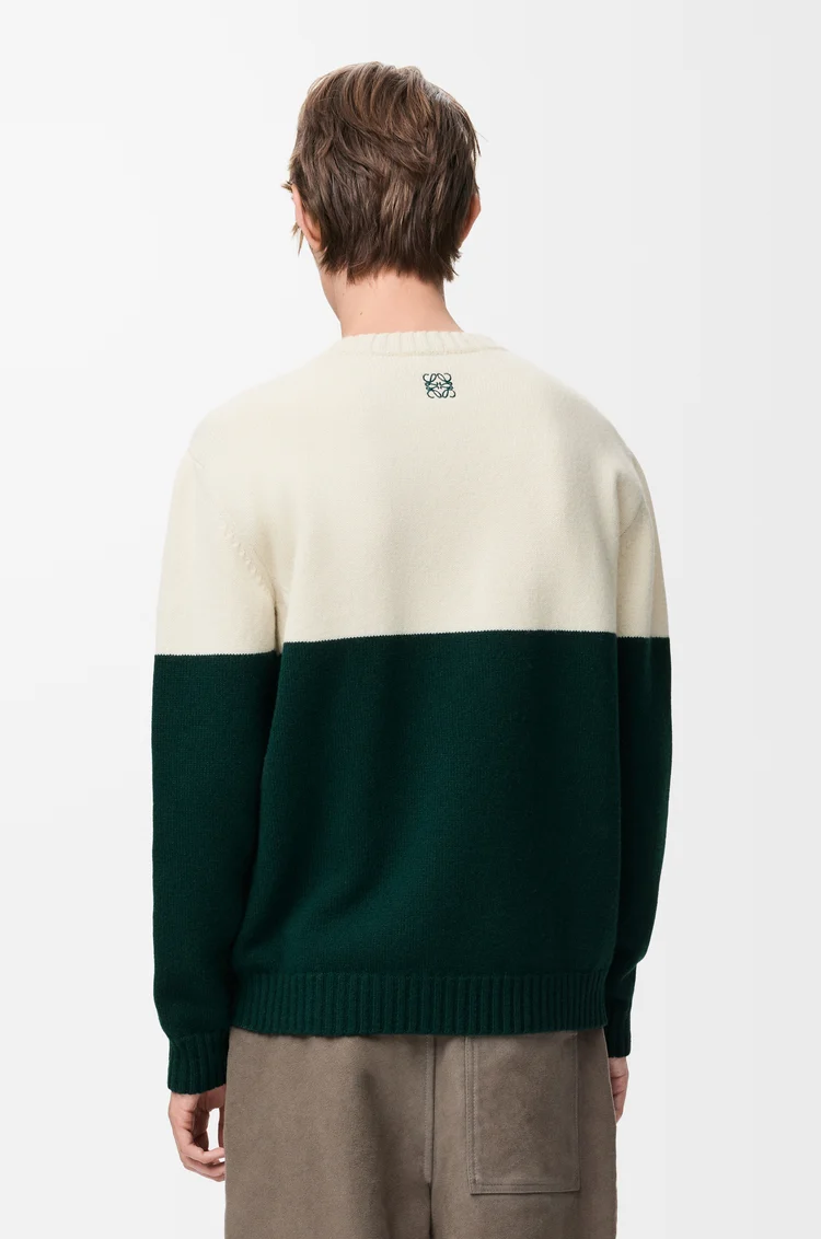 LOEWE セーター（ウール） ホワイト/グリーン