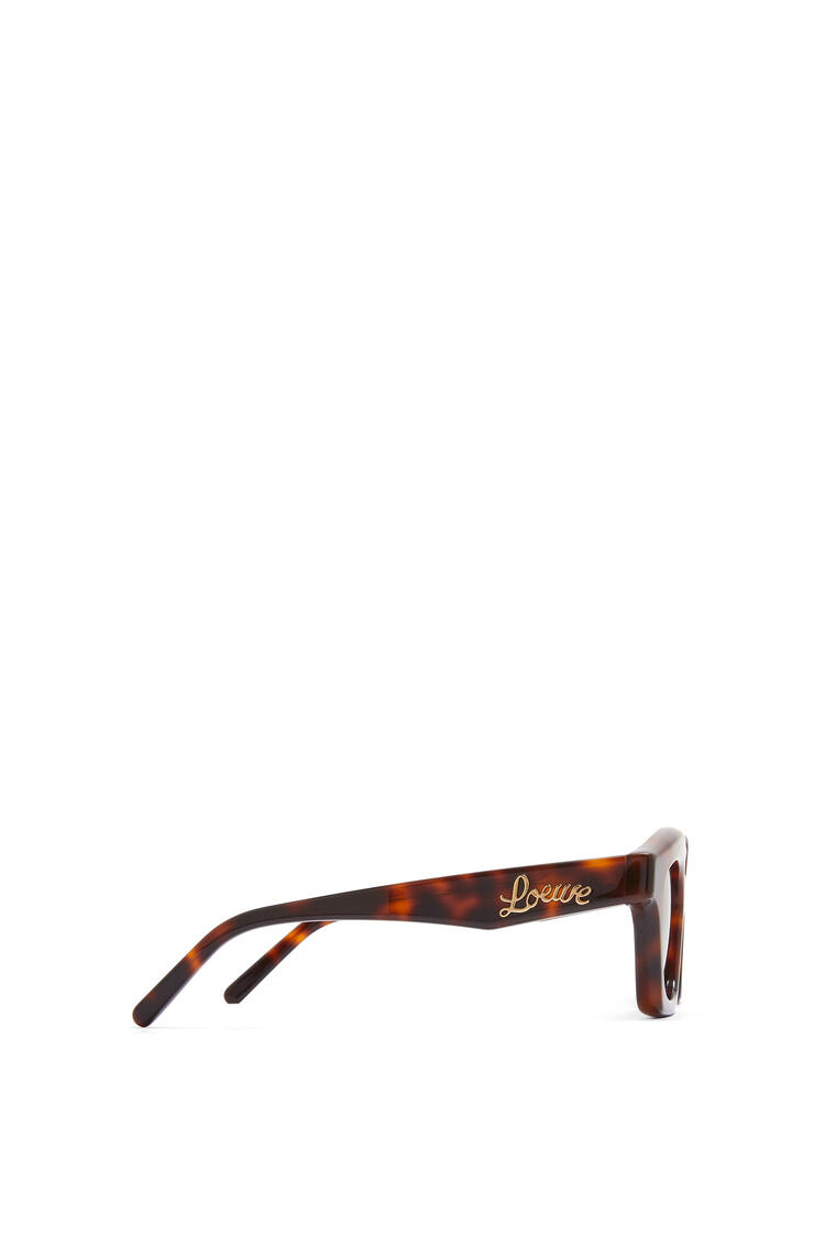 LOEWE Small browline sunglasses in acetate Shiny Classic Havana