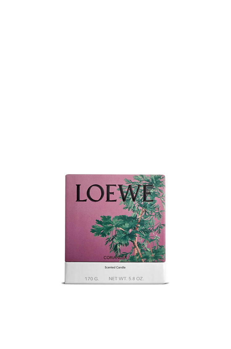 LOEWE 芫荽香精蜡烛 深棕色 pdp_rd