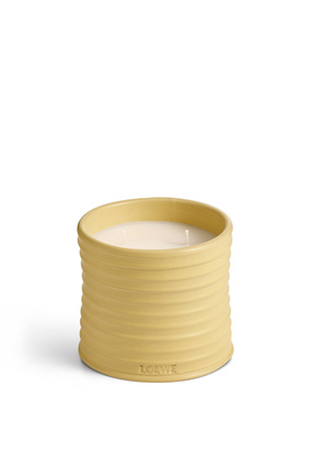 LOEWE Medium Honeysuckle candle Yellow plp_rd