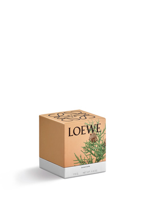 LOEWE Cypress Balls candle Baby Blue plp_rd