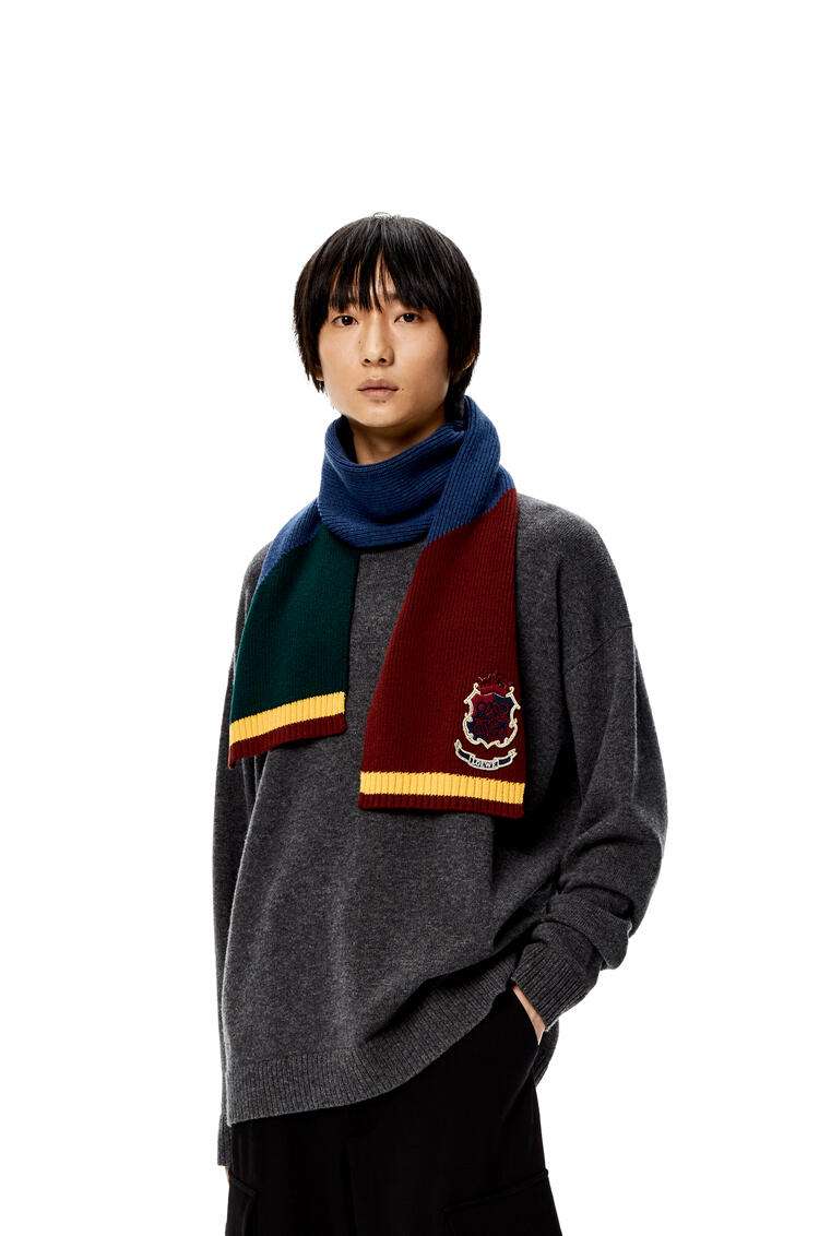 LOEWE Ribbed knit patch scarf in wool Green/Blue/Burgundy pdp_rd