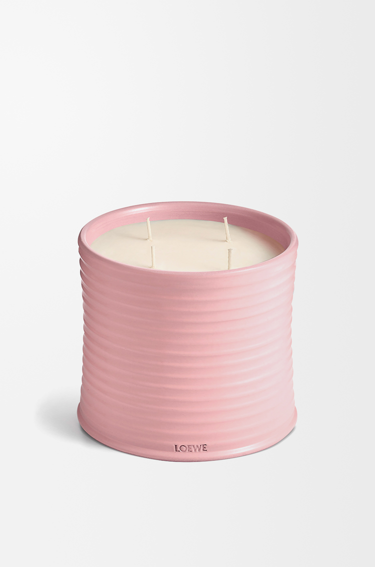 LOEWE Large Ivy candle Light Pink