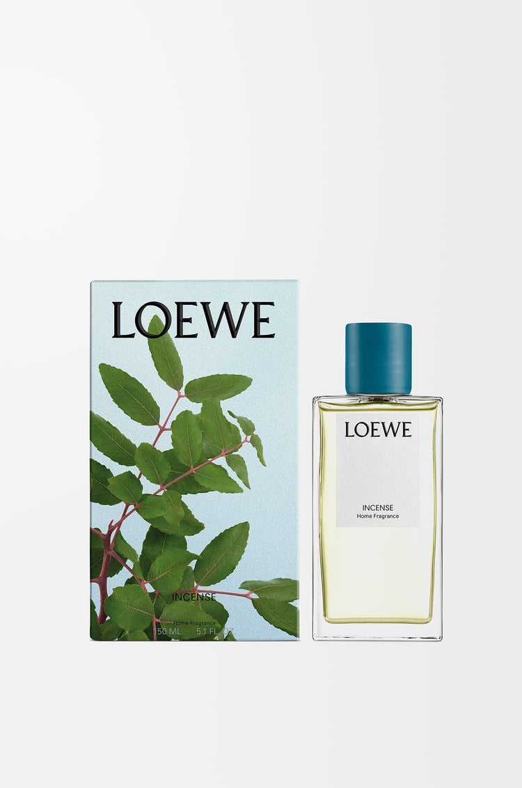 LOEWE Incense room spray Dark Blue