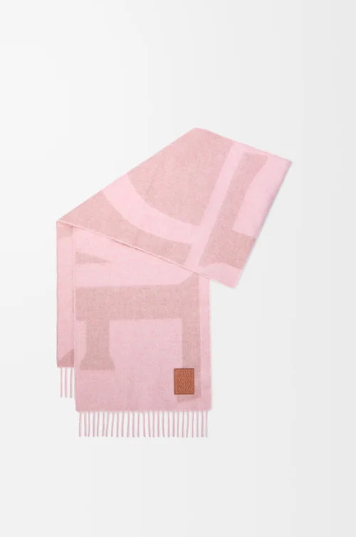 LOEWE Sciarpa in cashmere Rosa Chiaro/Rosa