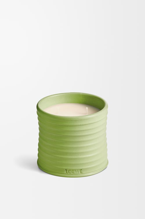 LOEWE Medium Cucumber candle Light Green