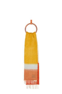 LOEWE ストライプ スカーフ（モヘア&ウール） キャメル/マルチカラー