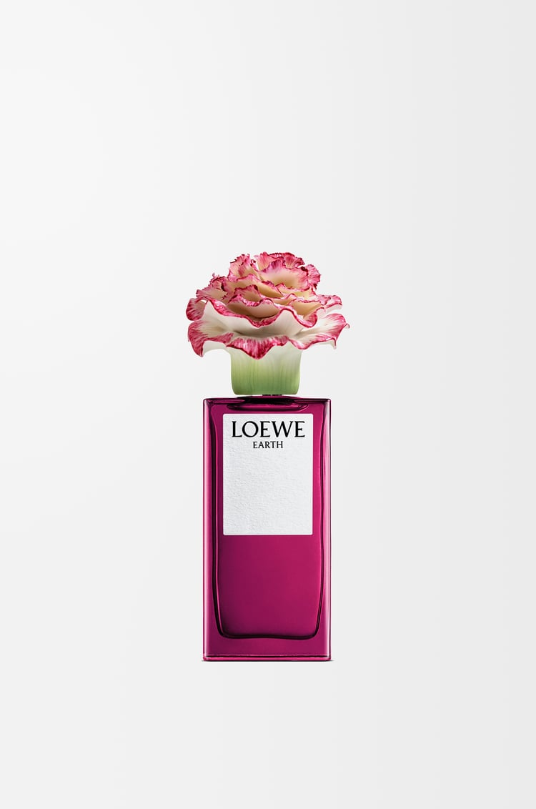 LOEWE LOEWE Earth x LLADRÓ Colourless