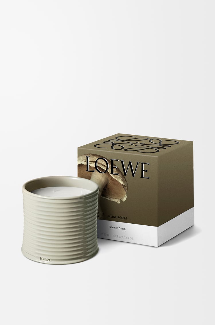 LOEWE Large Mushroom candle Light Grey
