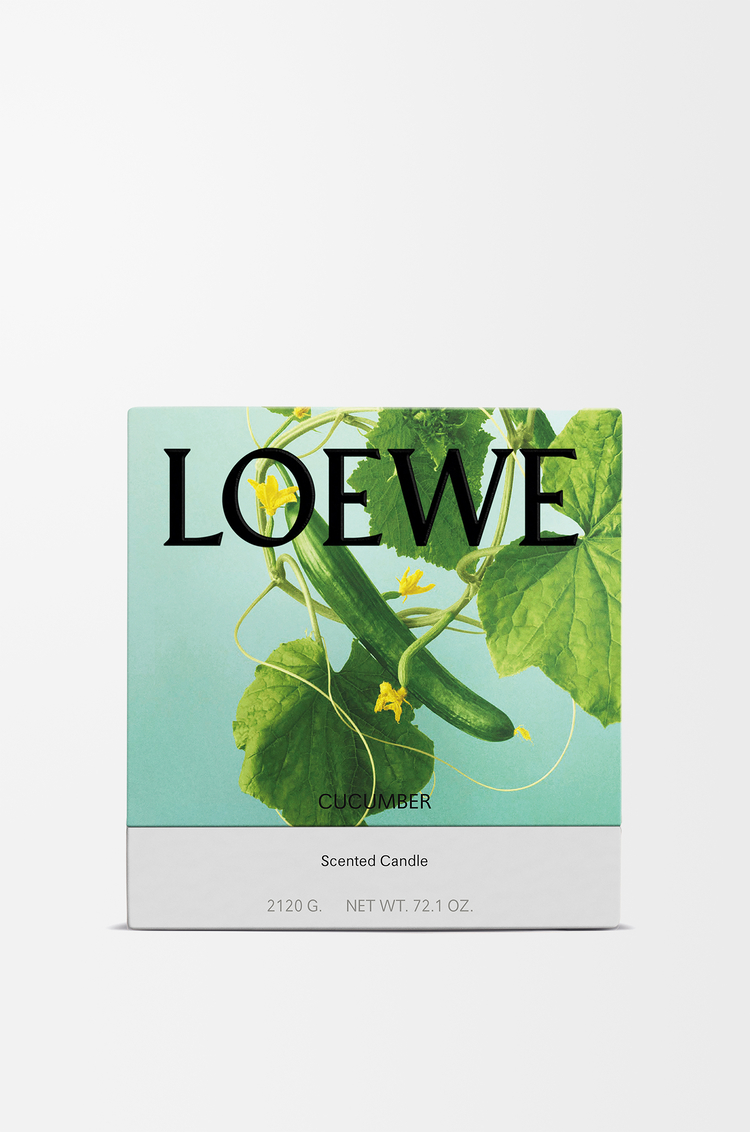 LOEWE Large cucumber candle Light Green