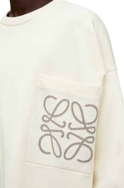 LOEWE Sweater in cotton blend Soft White plp_rd
